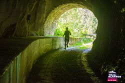 2024-08-24 KTRE 2024 -113614-DSC_4124